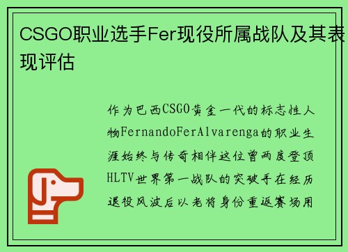CSGO职业选手Fer现役所属战队及其表现评估